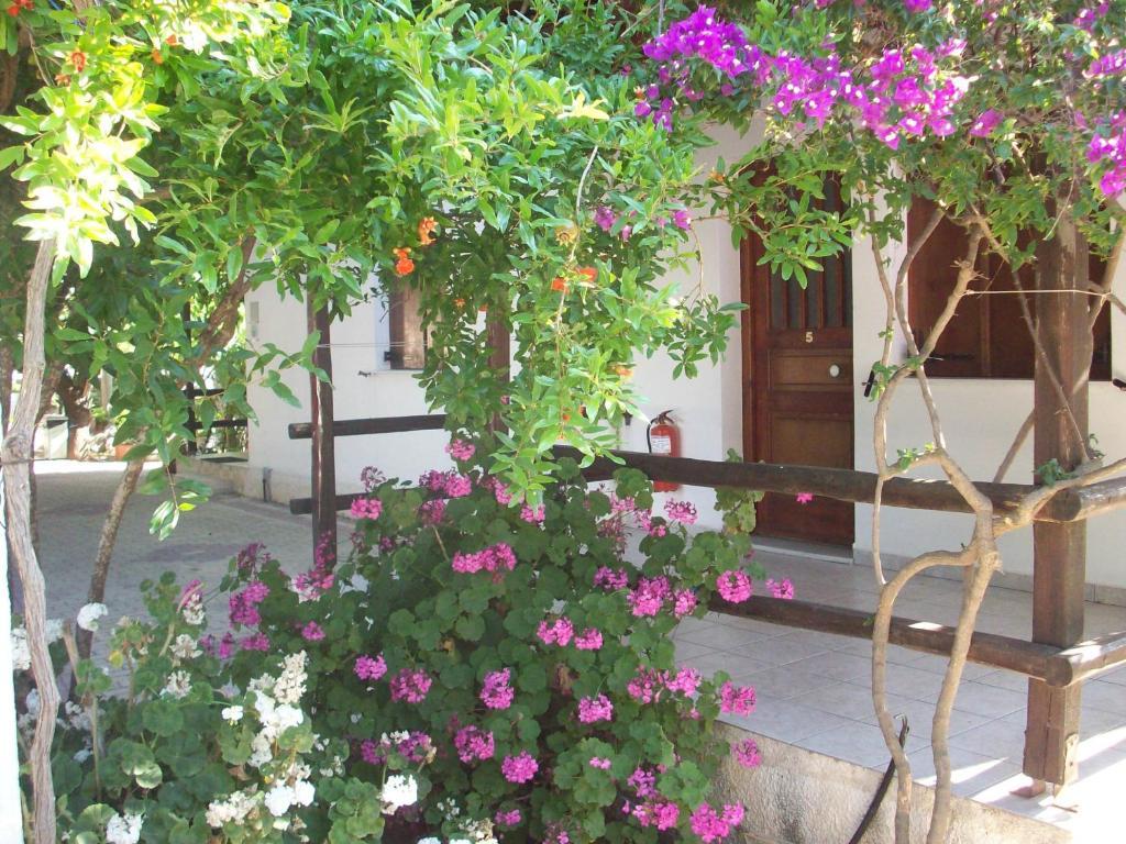 Appartement Caviri à Galissas Chambre photo