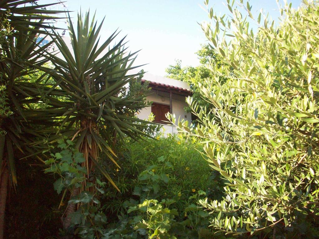 Appartement Caviri à Galissas Chambre photo