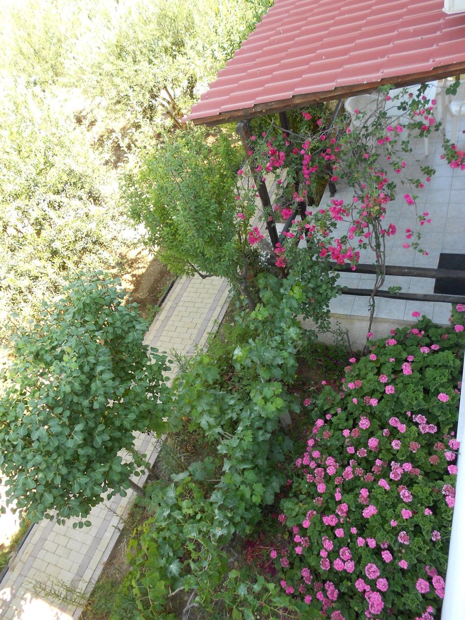 Appartement Caviri à Galissas Extérieur photo