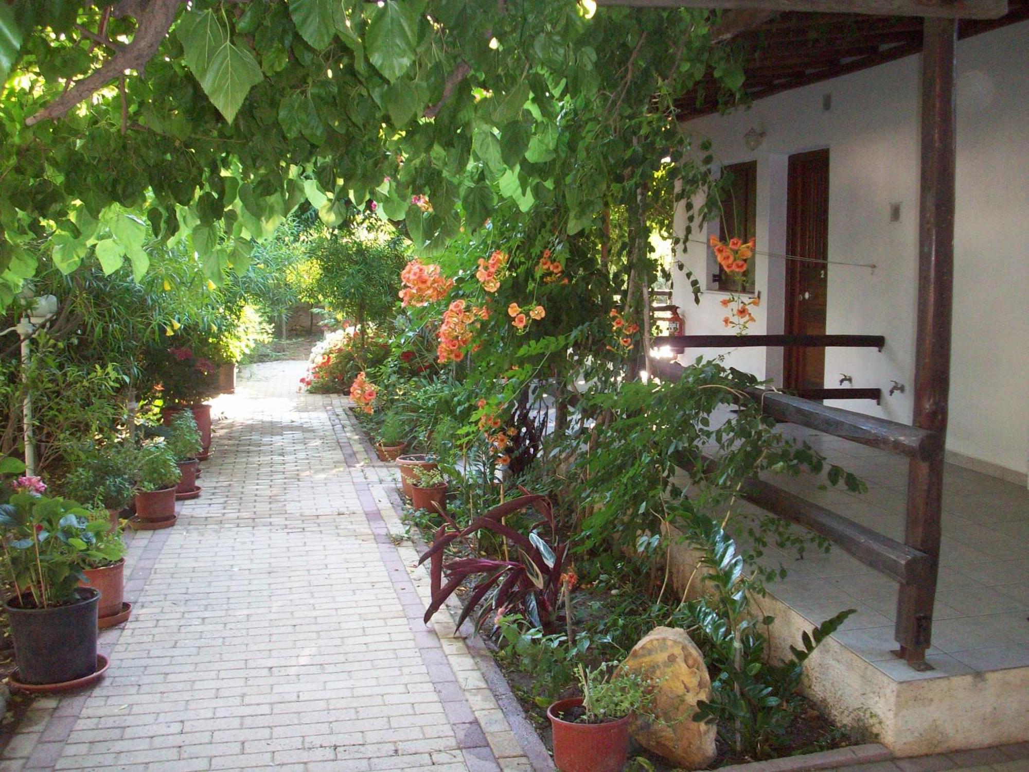 Appartement Caviri à Galissas Extérieur photo