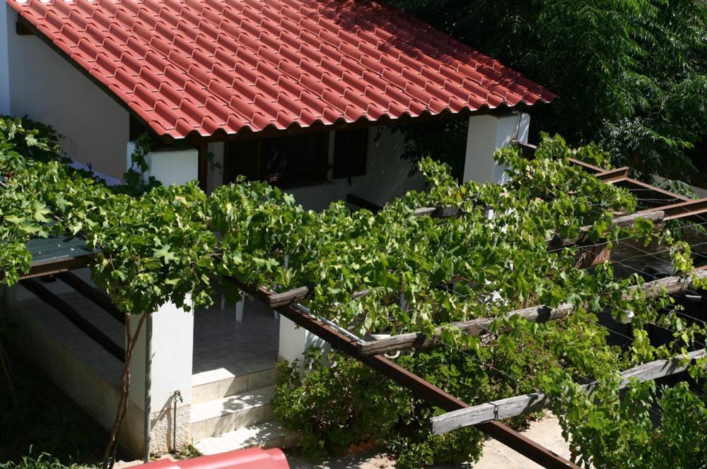 Appartement Caviri à Galissas Extérieur photo