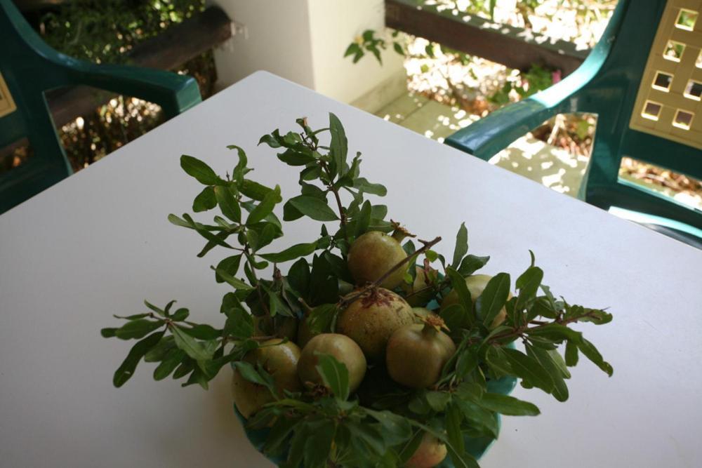 Appartement Caviri à Galissas Extérieur photo